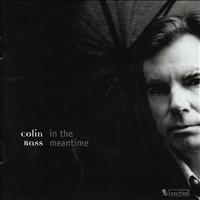 Colin Bass - In the Meantime