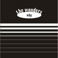 The Wonders - Why