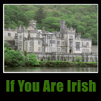 Barnbrack - If You Are Irish