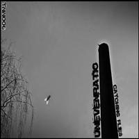 Unevenratio - Catching Flies