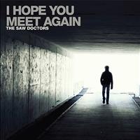 The Saw Doctors - I Hope You Meet Again (2012) - Single