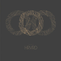 HRVRD - Cardboard Houses