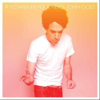 John Gold - A Flower In Your Head