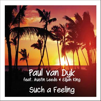 Paul Van Dyk - Such A Feeling
