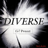 G-7 Proyect - Diverse