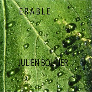 Julien Boulier - Erable (2007)