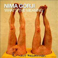 Nima Gorji - What's the Meaning