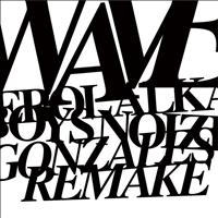 Erol Alkan & Boys Noize - Waves Rework