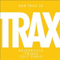 Baskerville - Priam / 3317 Paris