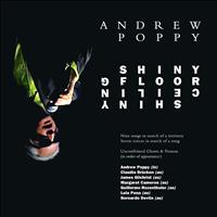 Andrew Poppy - Shiny Floor Shiny Ceiling (Explicit)