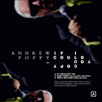 Andrew Poppy - If I Could Copy You