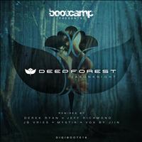 Jason Knight - Deep Forest