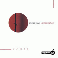 Exotic Birds - Imagination (Remix)