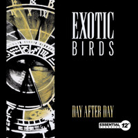 Exotic Birds - Day After Day