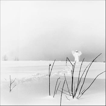 Timo Rautiainen & Trio Niskalaukaus - In Frostigen Tälern