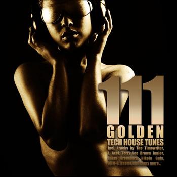 Various Artist - 111 Golden Techhouse Tunes