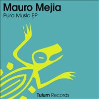 Mauro Mejia - Pura Music EP