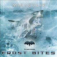 Miraculix - Frost Bites - EP