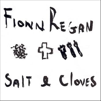 Fionn Regan - Salt & Cloves