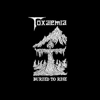 Toxaemia - Buried to Rise: 1990-1991