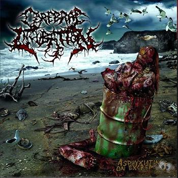 Cerebral Incubation - Asphyxiating On Excrement (Explicit)