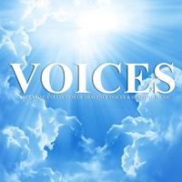 Various Artists - Voices