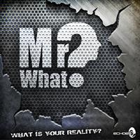 Mr.What? - What Is Your Reality?