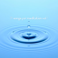 The New Ambient - 30 Songs for Meditation Vol. 1
