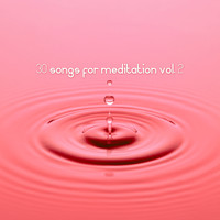 The New Ambient - 30 Songs for Meditation Vol. 2