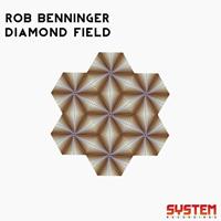 Rob Benninger - Diamond Field