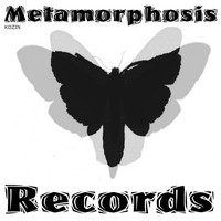 Kozin - Metamorphosis