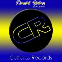 David Velas - Electro Culturas