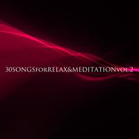 The New Ambient - 30 Songs for Relax & Meditation Vol. 2