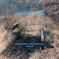 Don Caballero - Gang Banged With A Headache, And Live