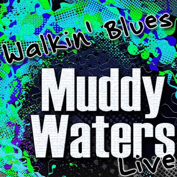 Muddy Waters - Walkin' Blues (Live)