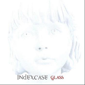 Index Case - Glass