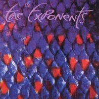 The Exponents - Grassy Knoll (Remastered)