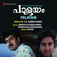 Shyam - Palayam (Original Motion Picture Soundtrack)