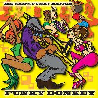 Big Sam's Funky Nation - Funky Donkey