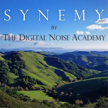 Digital Noise Academy - Synemy