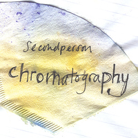 Second Person - Chromatography