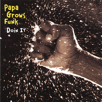 Papa Grows Funk - Doin' It
