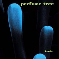 Perfume Tree - Feeler