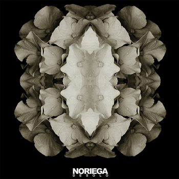 Noriega - Desolo