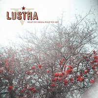 Lustra - What You Need & What You Get