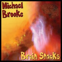 Michael Brooke - Brain Snacks