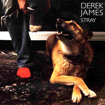 Derek James - Stray