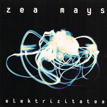 Zea mays - Elektrizitatea