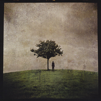 Ana Kefr - The Burial Tree (II)