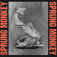 Sprung Monkey - Situation Life